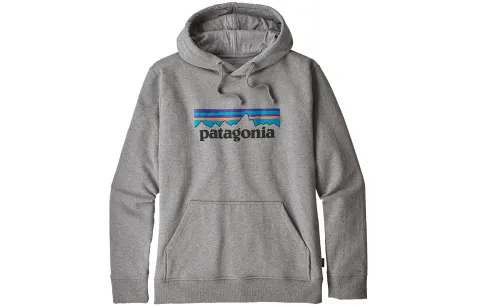 Patagonia Logo-print Hoodie