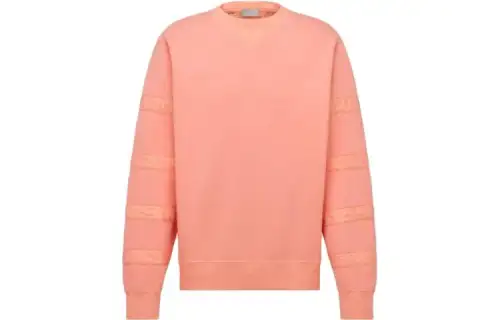 DIOR Homme Oblique Striped Crewneck Sweatshirt