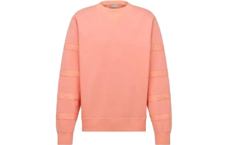 DIOR Homme Oblique Striped Crewneck Sweatshirt