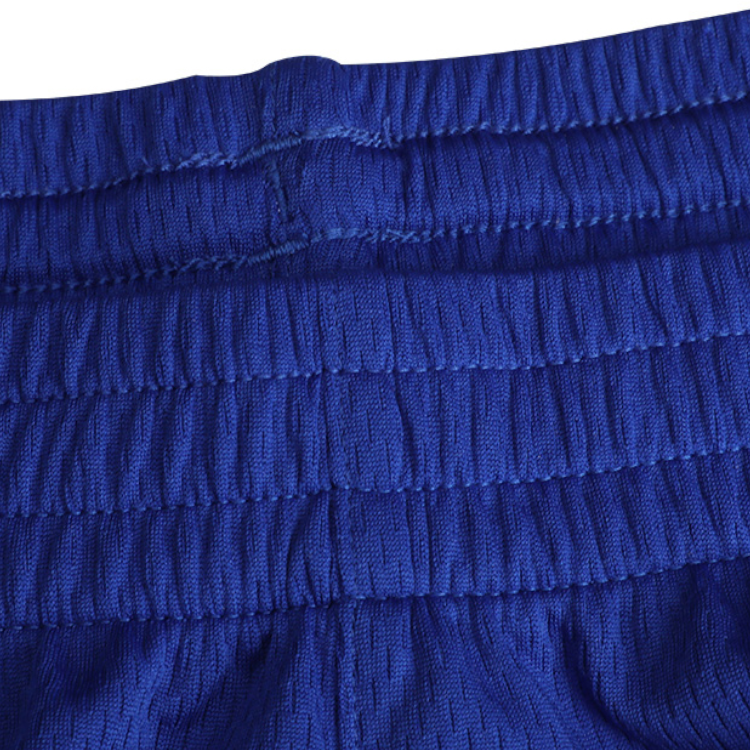 Under Armour Shorts Men’s Royal Blue