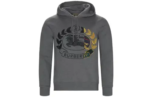 Burberry Sweatshirts Men's Gray Hooded Moderate Regular