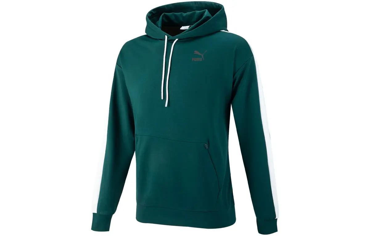 PUMA Sweatshirts Men's Pine Wood Green Hooded Moderate Regular