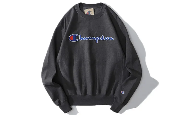Champion Grass Stitched Applique Fleece Lined, US Version, Winter Sweatshirt Unisex Dark Gray