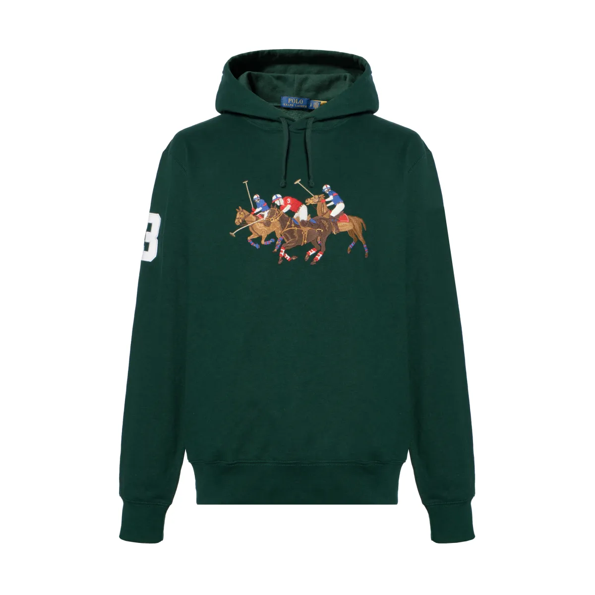 Polo Ralph Lauren Sweatshirts Men's Jasper Hooded Moderate Regular