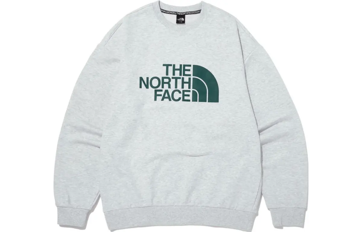 THE NORTH FACE Sweatshirt Men's Gray