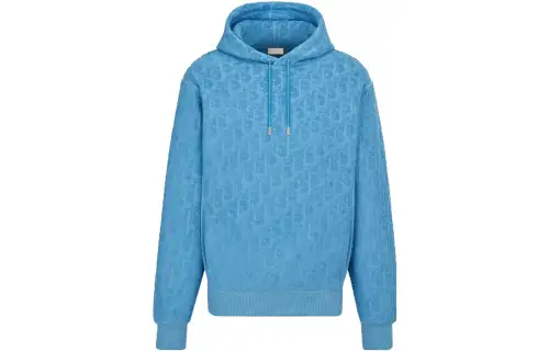 DIOR Sweatshirts Men's Sky Blue Hooded Moderate Regular