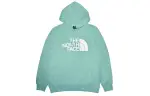 THE NORTH FACE Sweatshirts Men's Emerald Hooded Moderate