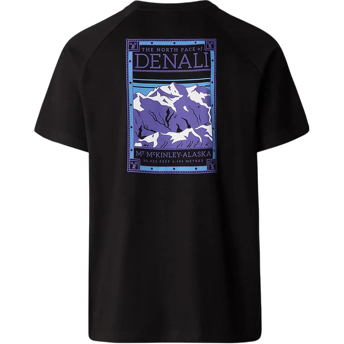THE NORTH FACE North Faces T Shirt