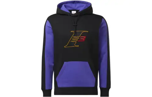 Reebok Sweatshirts Men's Purple Hooded Moderate Regular