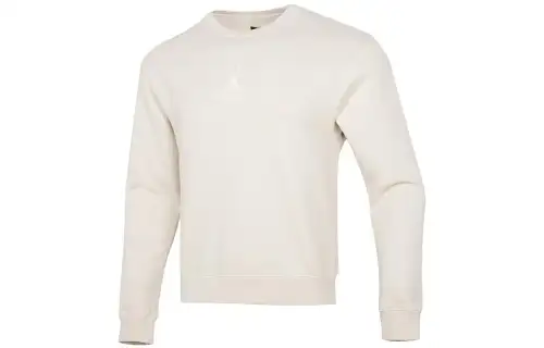 Jordan Sweatshirts Men's Beige Crew Neck Moderate Regular