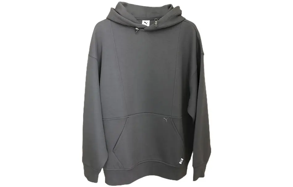 PUMA Sweatshirts Unisex Gray Hooded Moderate Regular