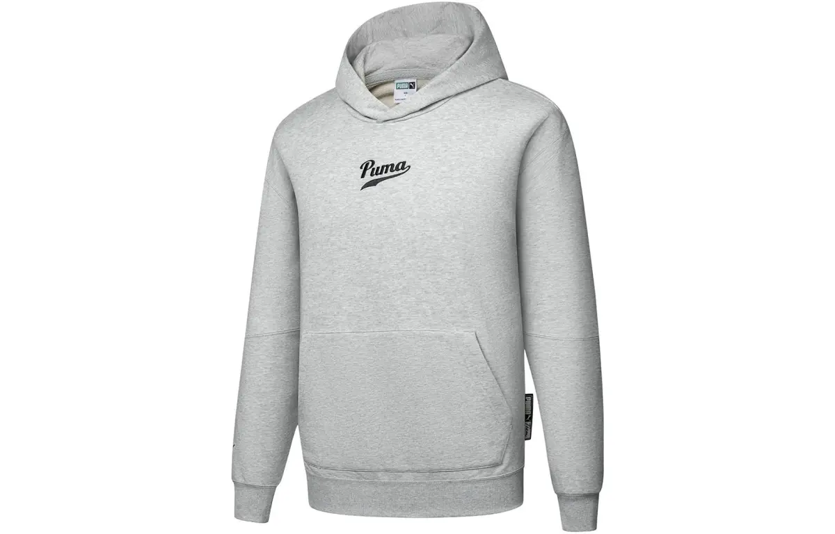 PUMA Sports Life Collection Sweatshirts Men's Gray Hooded Moderate Regular