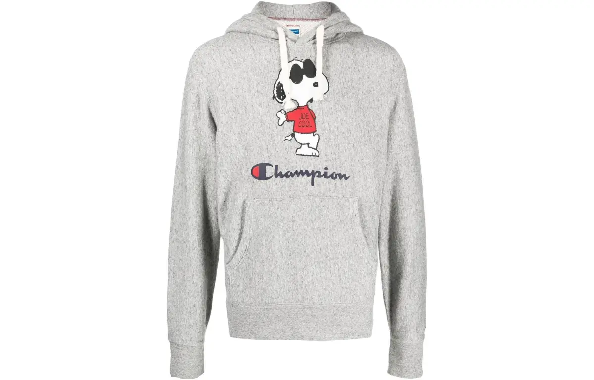 Champion Sweatshirts Men's Gray Hooded Moderate Regular