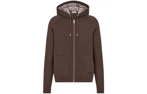 DIOR SS22 Sweatshirt Men's Brown