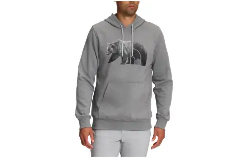 THE NORTH FACE TNF™ Bear Pullover Hoodie Sweatshirt Men's Gray
