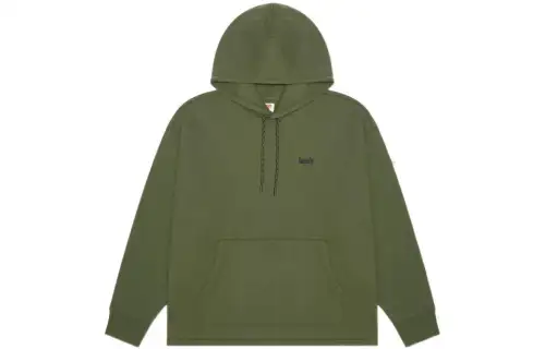 Levis Sweatshirts Men's Green Hooded Moderate Regular