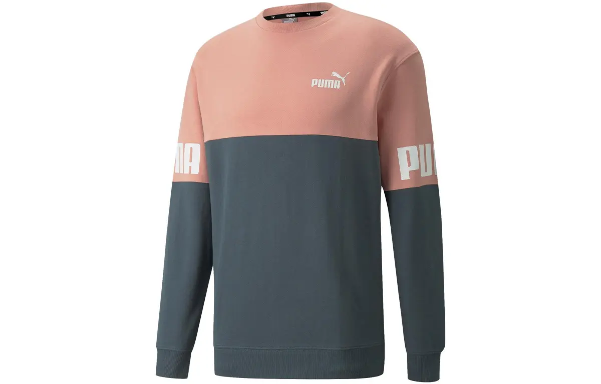 PUMA Sweatshirts Men's Gray Blue-Rose Pink Crew Neck Moderate Straight Fit