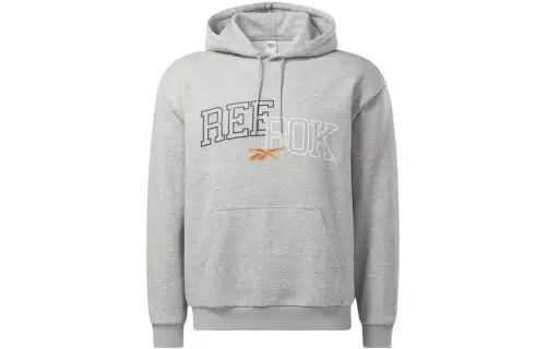Reebok HOODIE Sweatshirt Unisex Gray
