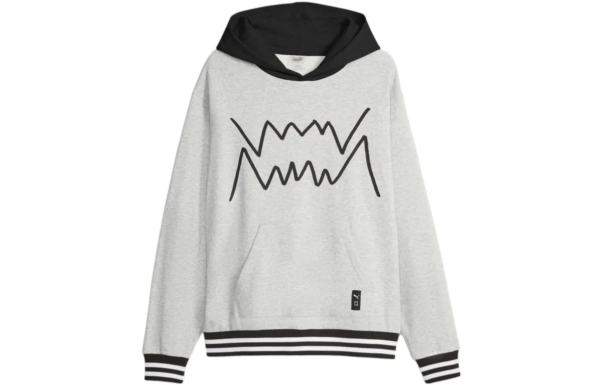 PUMA Hoodie De Basketball Franchise Core Homme Sweatshirt Men's Gray