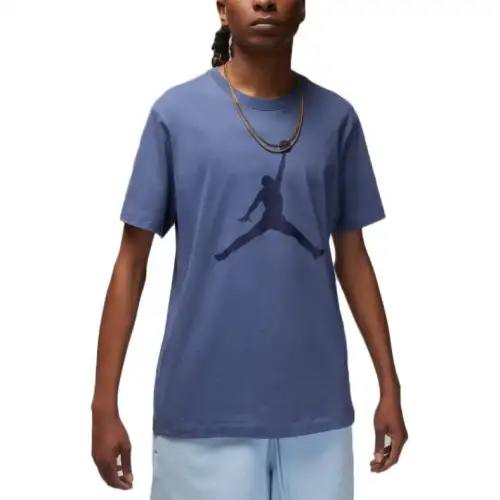 Jordan T Shirts Men's Blue Crew Neck Moderate Straight Fit