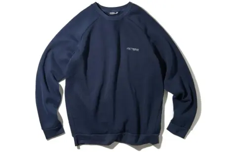 Arcteryx EMBLEM Sweatshirts Men's Crew Neck Moderate