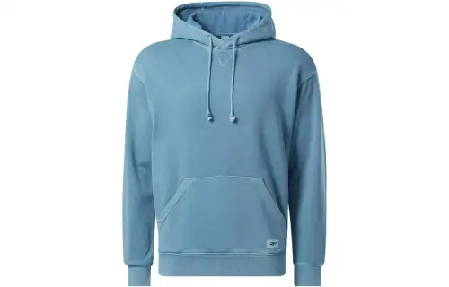 Reebok Sweatshirts Unisex Blue Hooded Moderate Regular