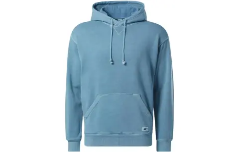 Reebok Sweatshirts Unisex Blue Hooded (Non-detachable) Moderate Straight Fit