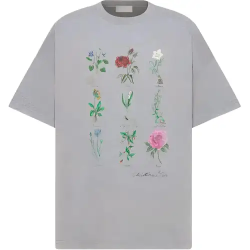 DIOR T Shirts Men's Gray Crew Neck Moderate Straight Fit