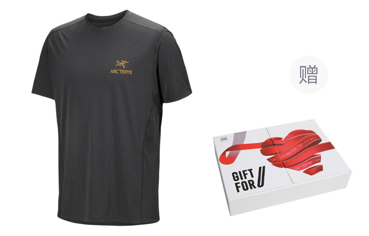 Arc'teryx Motus T Shirt Gift Box Set Men's Black Gray