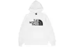 THE NORTH FACE Drew Peak Pullover Hoodie