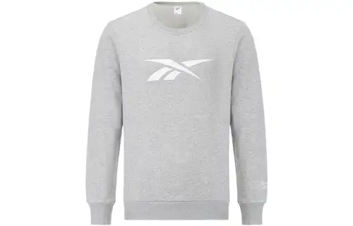 Reebok Sweatshirts Men's Gray Crew Neck Moderate Regular