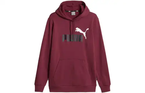 PUMA Sweat À Capuche Essentials+Two Tone Big Logo Homme Sweatshirt Men's Burgundy