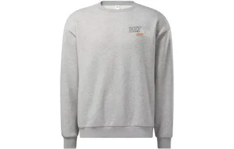 Reebok Sweatshirts Unisex Gray Crew Neck Moderate Straight Fit