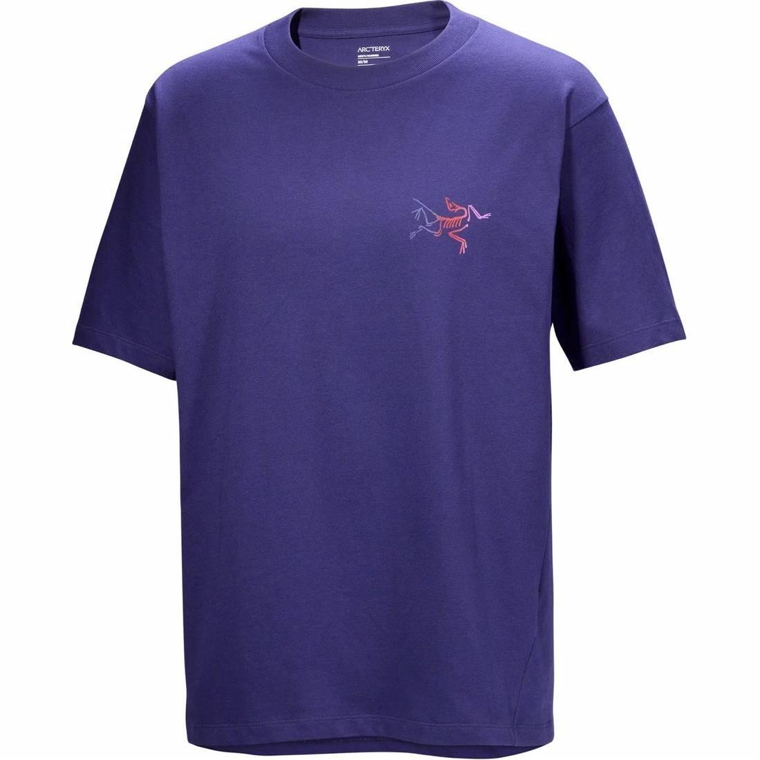 Футболка Arcteryx KRAGG COTTON LOGO SS (черная)