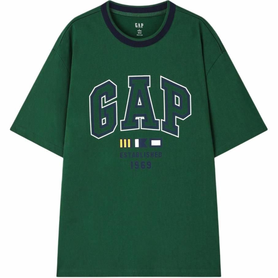 Мужская футболка GAP Logo (разноцветная)
