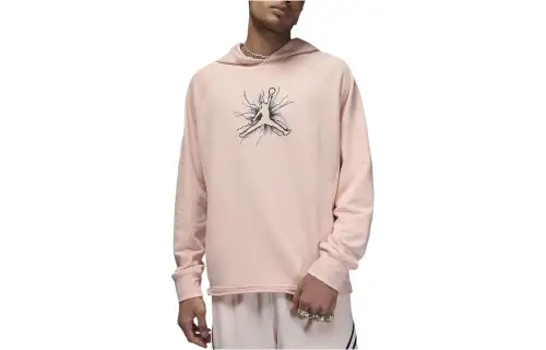 Jordan Sweatshirts Men's Pink Hooded Moderate Other