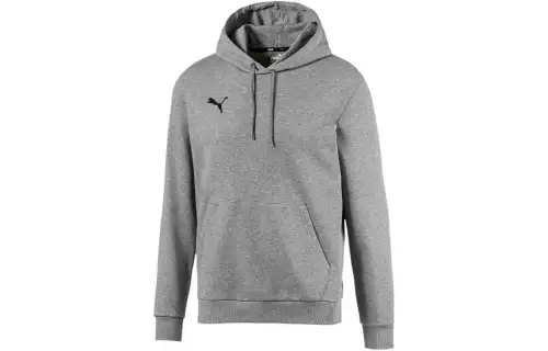 Puma Teamgoal 23 hoodie
