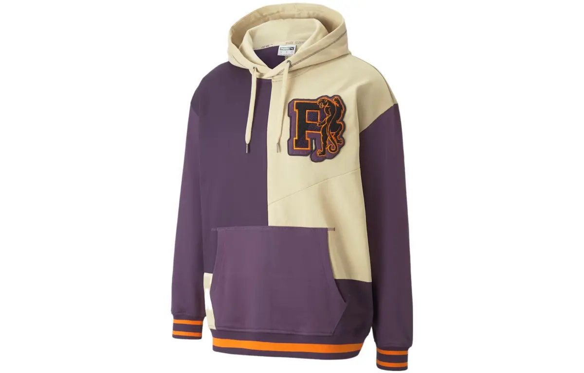 PUMA Legends Sweatshirts Men's Purple Hooded Moderate Regular