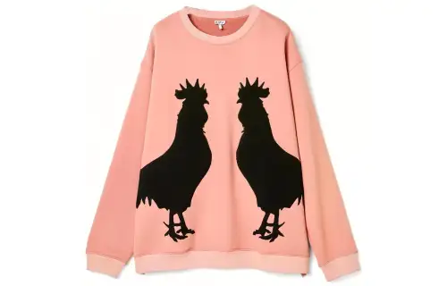 LOEWE Sweatshirts Men's Pink Crew Neck Moderate