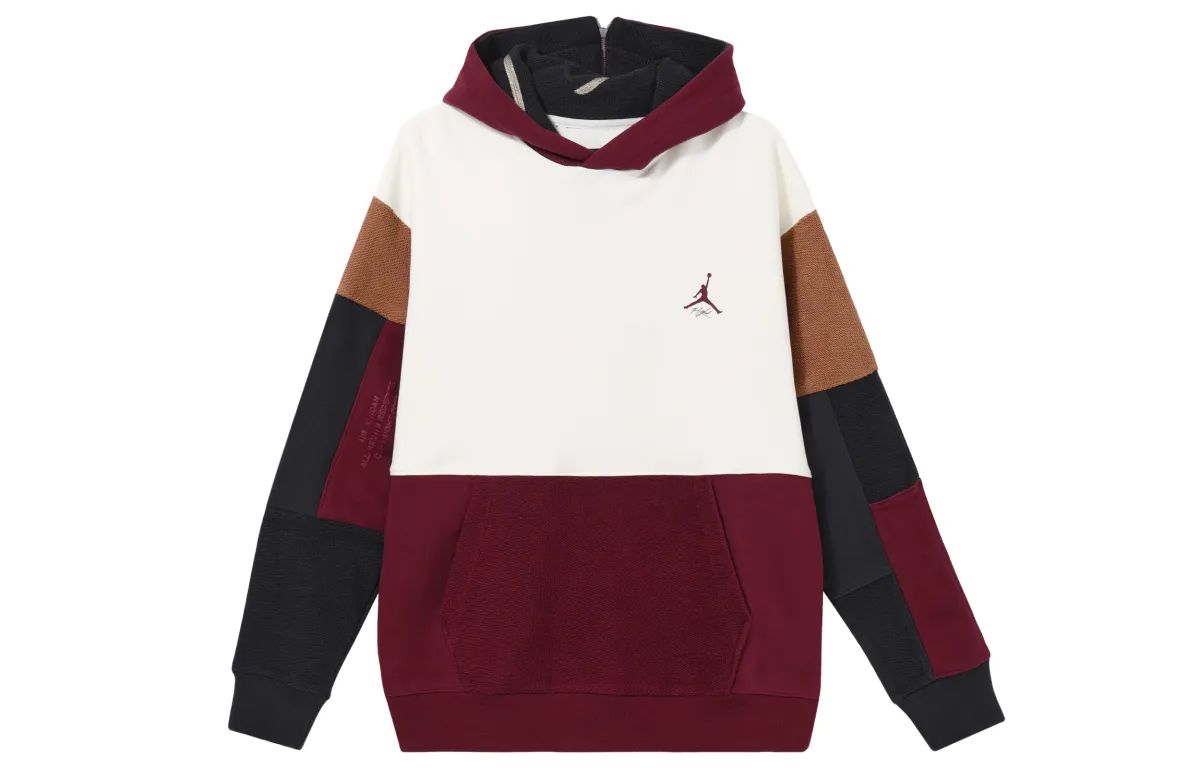 Jordan Sweatshirts Men's Multicolor Hooded Moderate Straight Fit