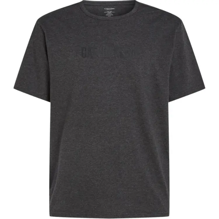 CALVIN KLEIN T Shirt Europe Version Men's Gray