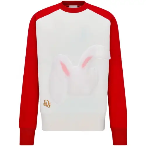 DIOR X Erl Sweatshirt