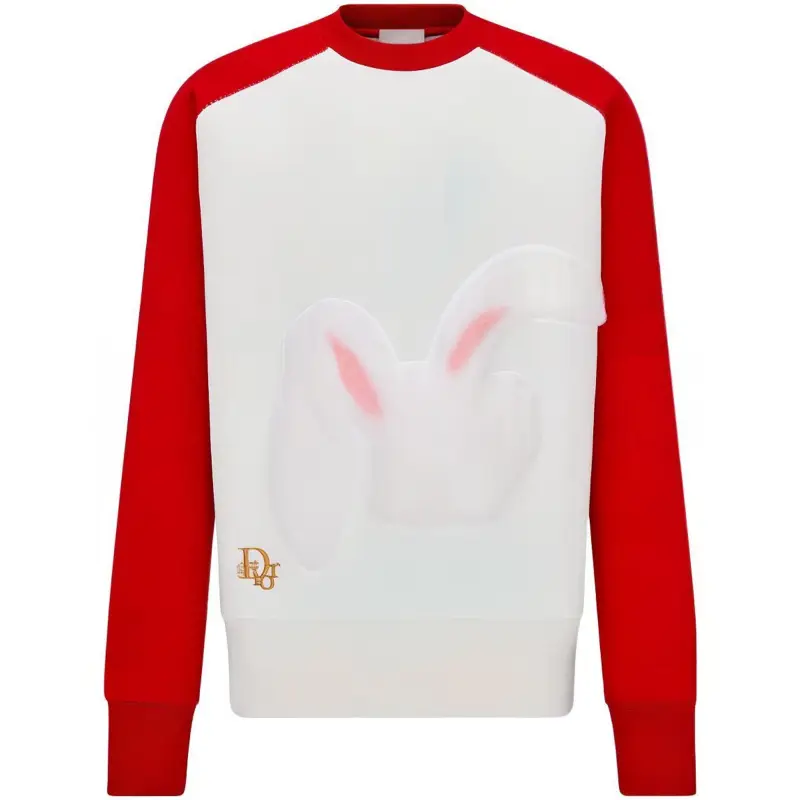 DIOR X Erl Sweatshirt