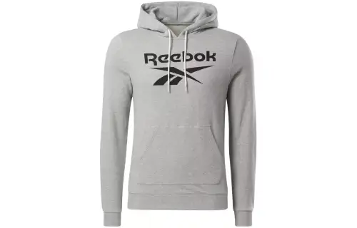 Reebok RI FT OTH BL HOODIE Sweatshirt Men's Gray