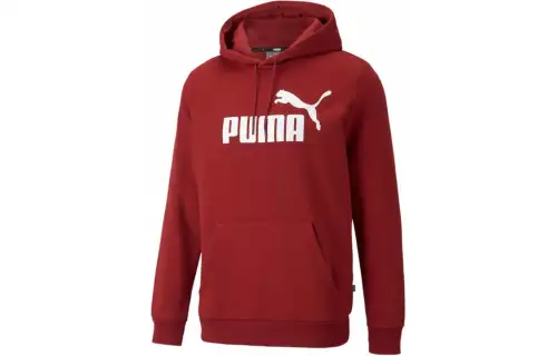 Puma graphic hoodie