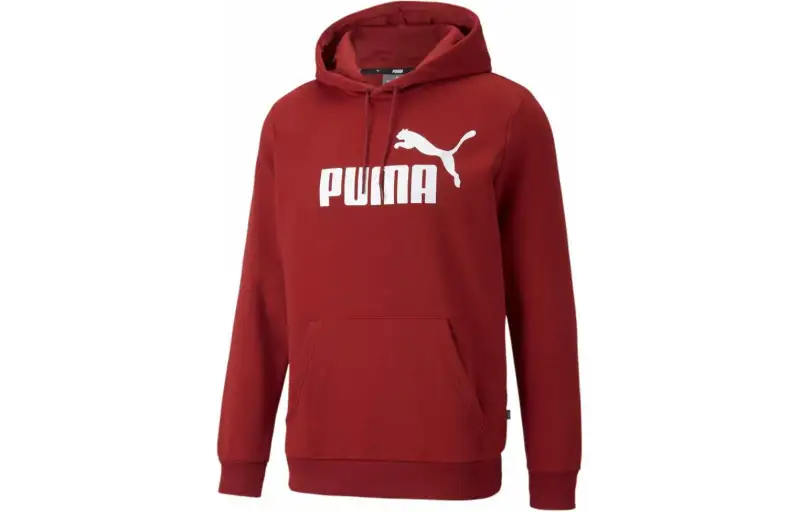 Puma graphic hoodie