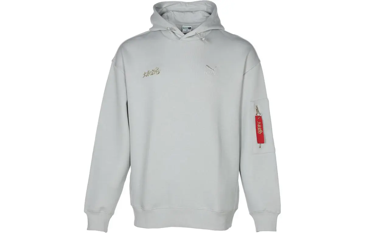PUMA Sweatshirts Men's Gray Hooded Moderate Regular