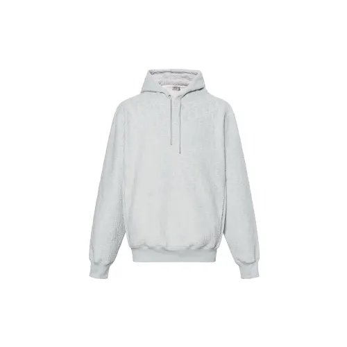DIOR Sweatshirts Men's Blue Hooded Moderate Regular