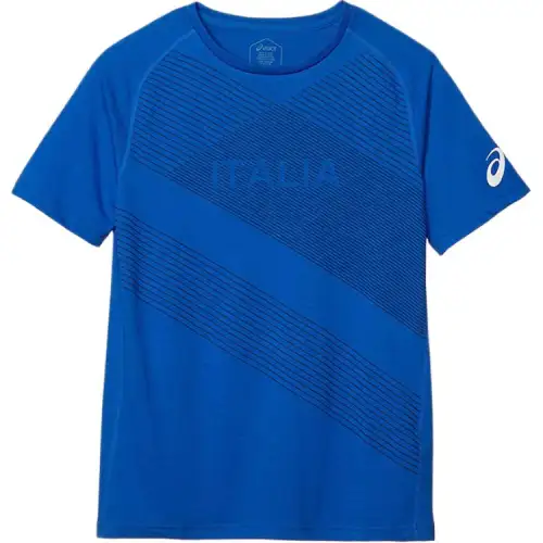 ASICS T Shirts Men's Blue Crew Neck Moderate Straight Fit