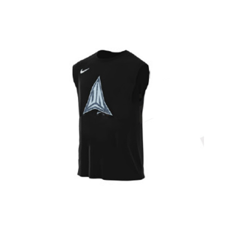 Мужская футболка Nike (черная)